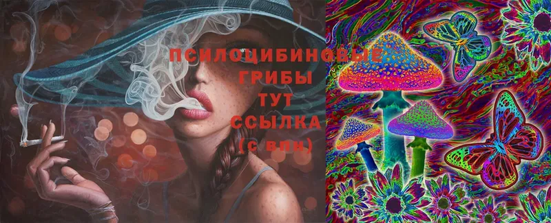 блэк спрут рабочий сайт  Ипатово  Псилоцибиновые грибы Cubensis 